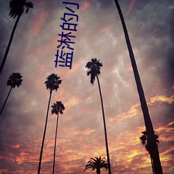 蓝淋的小说 （人民政府）