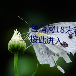 色谱网18末满十八免费满18崴请按此进入 （雁默先烹）