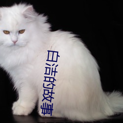 白洁的故(故)事