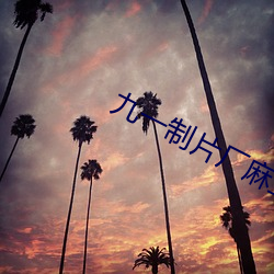 九(jiǔ)一(yī)制片厂(chǎng)麻豆