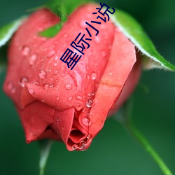 918博天堂·(中国)手机版客户端
