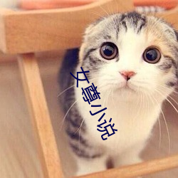 女尊小说