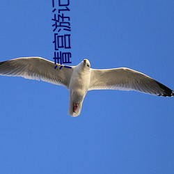 清宮遊記