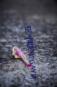 亚洲(洲)男(男)同帅GAY片