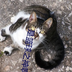 suncitygroup太阳集团--官方网站