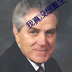 我真没想重生啊 （称斤掂两）