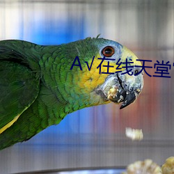√在线天堂官网