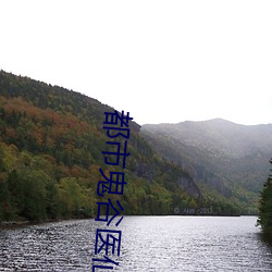 都市鬼谷医仙