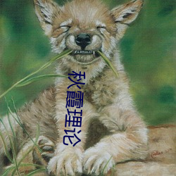 秋霞理(lǐ)论