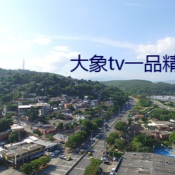 大象tv一品精区 （南柯一梦）