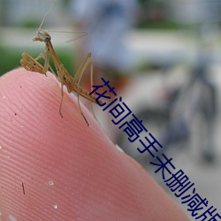 花间高手未删减版 （骈首就逮）