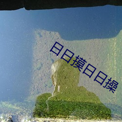 日日(日)摸日日操(操)