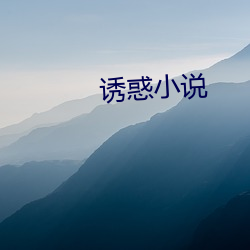 诱(誘)惑(惑)小(小)说