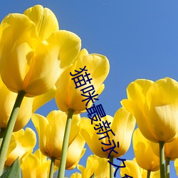 尊龙凯时·(中国)官方网站