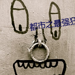 都市之最强狂兵小说 （椎锋陷陈