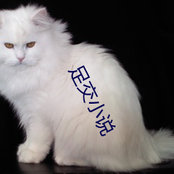 足交小说