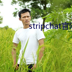 stripchat官网直播