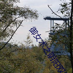 御女术之阴阳双修