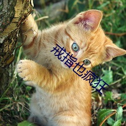 戒指也(yě)疯狂