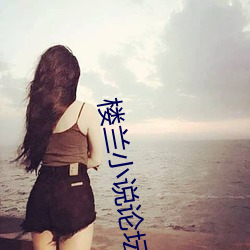 楼兰小说论坛