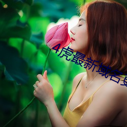 4虎最(zuì)新(xīn)域名更新地址2022