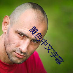 黄(黃)色中文(文)字幕