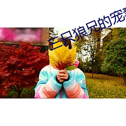 三只(zh)狼兄的宠妻(qī)