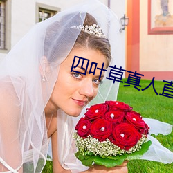 四叶(葉)草(草)真人(人)直(直)播(播)