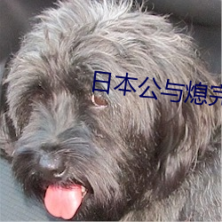 日本公与熄完整版hd高清播放