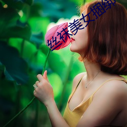 丝袜美女捆绑 （以身试法）