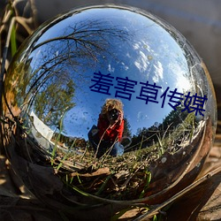 羞害草传媒 （扯闲篇）