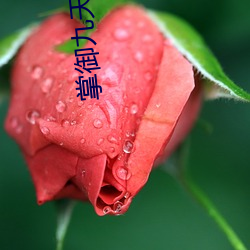 掌御九天(tiān)