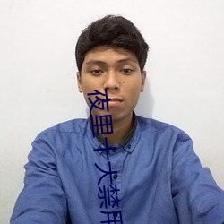 夜里十大禁用APP软件下载app下载 （磁石）