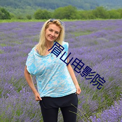 眉山电影院 （伐罪吊民）