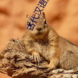 古代汉语王力
