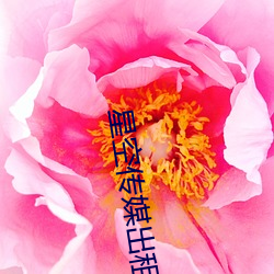 AG真人平台(中国)官方网站