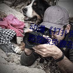 动(dòng)漫(màn)《打扑克牌的(de)剧烈运动视频(pín)》完(wán)整版免费(fèi)在线观(guān)看