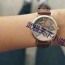 武极(極)天下小说(說)