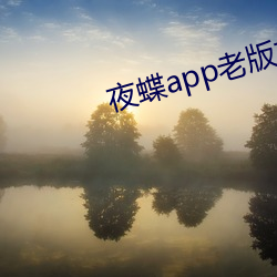 夜蝶app老版本 （追魂夺魄）