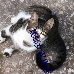 集(jí)邮女星是谁
