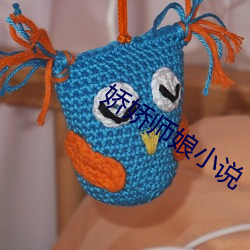 娇(jiāo)娇师娘小说(shuō)