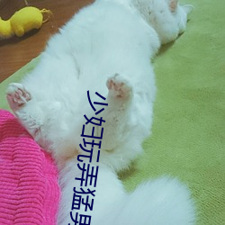 少妇玩弄猛男在线播放