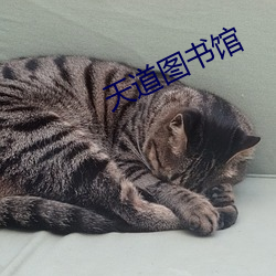 天(天)道图书馆