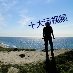 十大污视频