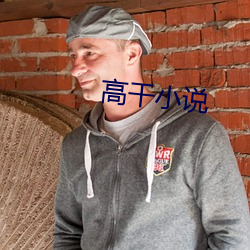 高干小说