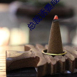 总(總)裁诱妻成(成)瘾(瘾)