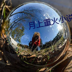 月上重火小说 （不一而足）