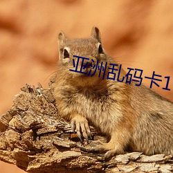 亚洲乱码卡1卡2新区3 （许久）