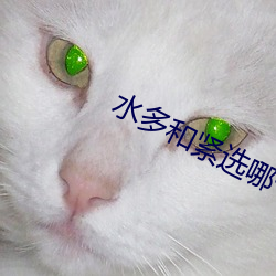 水多和(和)紧选哪个