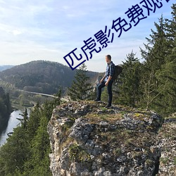 匹虎影免費觀看